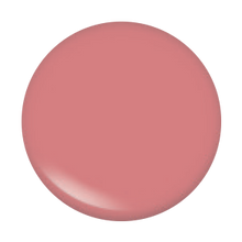 Load image into Gallery viewer, Lipgloss 106 pinky C
