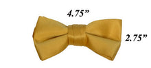 Load image into Gallery viewer, Modern Solid Bow Ties - Gold
