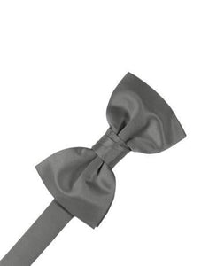 Apple Luxury Satin Bow Ties