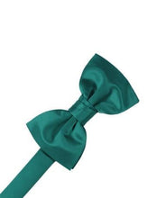 Load image into Gallery viewer, Apricot Luxury Satin Bow Ties
