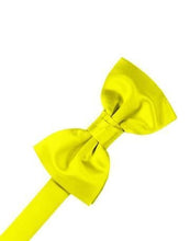 Load image into Gallery viewer, Pool Luxury Satin Bow Ties
