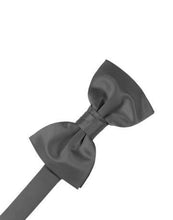 Load image into Gallery viewer, Heather Luxury Satin Bow Ties
