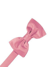 Load image into Gallery viewer, Clover Luxury Satin Bow Ties
