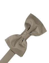 Load image into Gallery viewer, Oasis Luxury Satin Bow Ties
