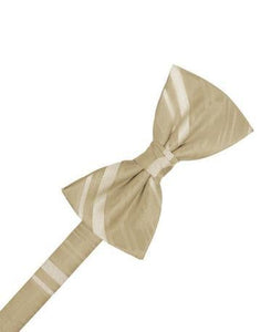 Striped Satin Bow Tie