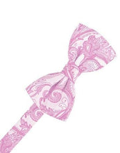 Load image into Gallery viewer, Blush Tapestry Bow Ties
