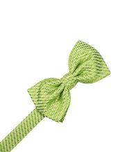 Load image into Gallery viewer, Buttercup Venetian Pin Dot Bow Tie
