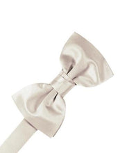 Load image into Gallery viewer, Sunbeam Luxury Satin Bow Ties
